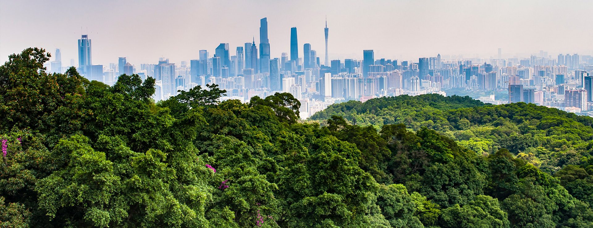 Vita molnens berg (Guangzhou)